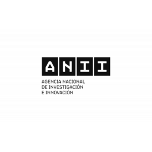 ANII Co Investor